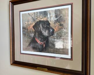 "Cody Black Lab" print Robert K Abbet 24.5" x 22"