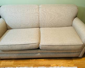 Sleeper Sofa 