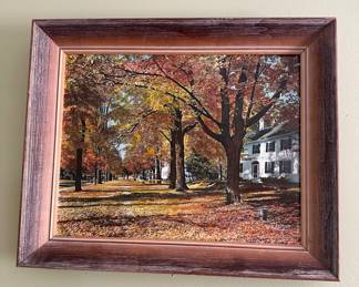 Sawyer 17" w x 14" t