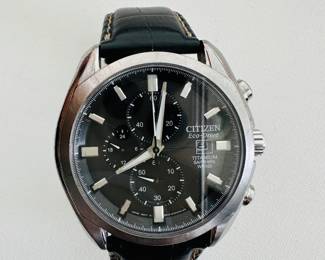 Citizen Eco-drive Titanium Collection watch
