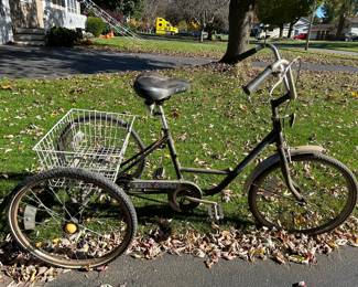 Tristar 3 wheeled basket bike
