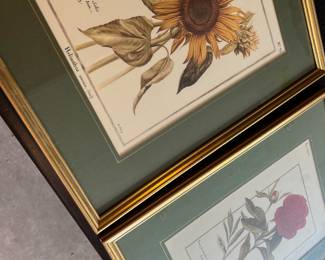 Set of 6 framed PJ Redoute vintage botanical prints