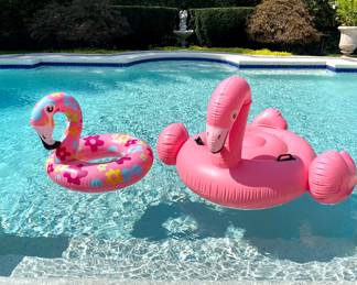 For fun! $10 each; inflatable pool flamingos