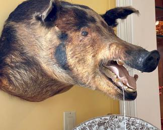 $400; 24 x 12 x 16; taxidermy wild boar's head