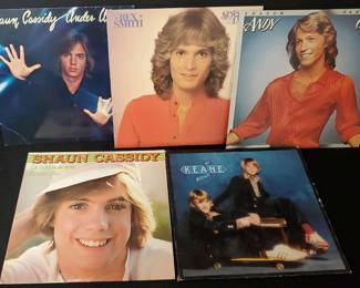 70s 80s Teen Heart Throb LP Records