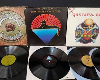 Grateful Dead Vinyl LP Records