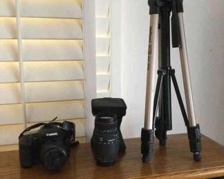 Everyone Smile Its Picture Time