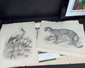 Signed artwork Orlando