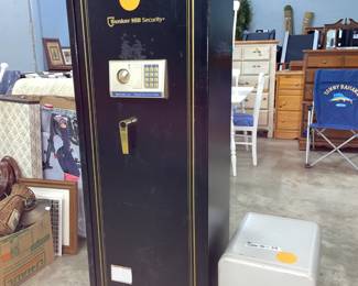 Bunker Hill Gun Safe and Sentry Safe Orlando Auction