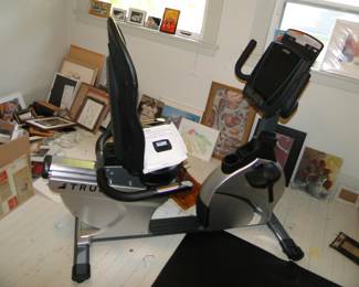 Fairly new TRUE Exercise Bicycle Asking $1500