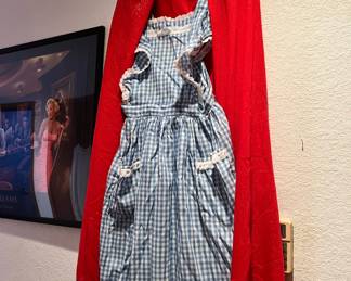 Dorothy Dress Costume
