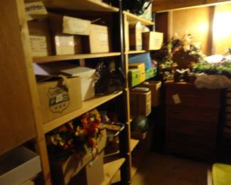 Halloween/ Fall/Christmas are all here in the lower half of the house