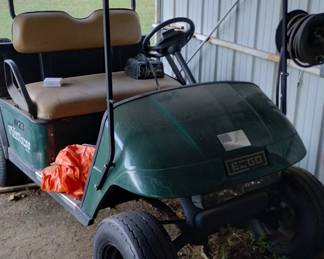 Gasoline golf cart running 