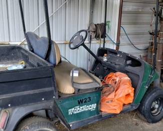 Gasoline golf cart 