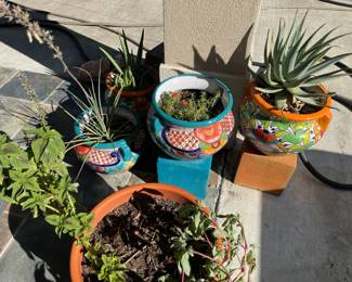 Numerous decorative pots