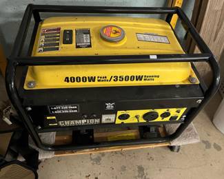 Champion Portable Generator (buy it before Joe Biden outlaws them!)