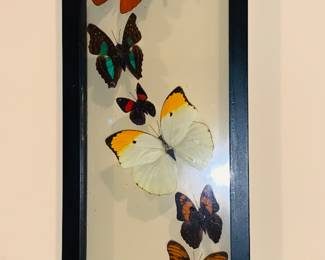 BUTTERFLY WALL ART