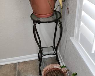 Plant Stand with 2 Plants