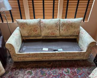 BUY IT NOW!$260. Sleeper sofa