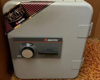 55 Sentry Fire Safemin