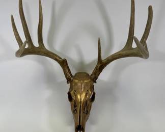 8 Point Gold Painted Deer Skull Mount