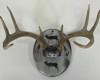 8 Point Deer Antler Rack Mounted on Wall Plaque