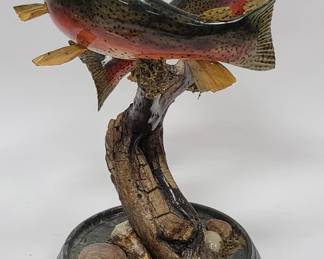 Rainbow Trout Carving by Gill O. Sanders MD