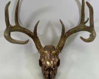 9 Point Deer Antler Rack on Gold Painted Skull