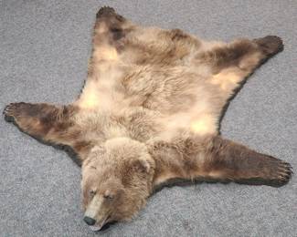 Full Body Brown Bear Rug