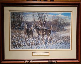 Sieve LE Oak Ridge Monarch - Whitetail Deer Print