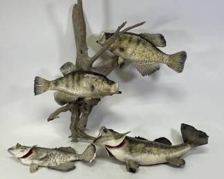 Largemouth & Smallmouth Bass Taxidermy Log Mount