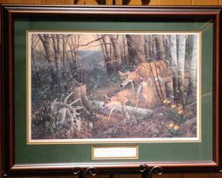 Sieve Signed LE Oak Ridge Renewal - Whitetail Deer