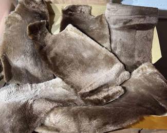 Sheared Beaver Pelts