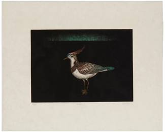 2123
Tomoe Yokoi
b. 1943
"Bird"
Mezzotint in colors on Japan paper
Edition: 52/75
Signed, titled, and numbered in the lower margin: T. Yokoi; titled and numbered again on two labels affixed verso
Plate: 9.5" H x 14" W; Sight: 16.875" H x 21.875" W
Estimate: $100 - $200