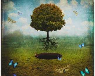 2177
Maggie Taylor
b. 1961
"Oh, Happy Day!," 2009
Archival inkjet print in colors on paper
Edition: 9/10
Signed, titled, dated, and numbered in pencil in the lower margin: Maggie Taylor
Image: 22" H x 22" W; Sight: 23" H x 22.75" W
Estimate: $400 - $600