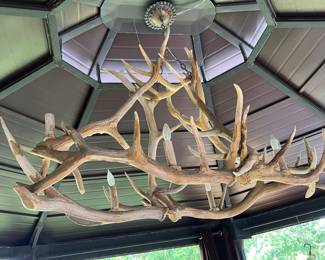 Antler Light Fixture
