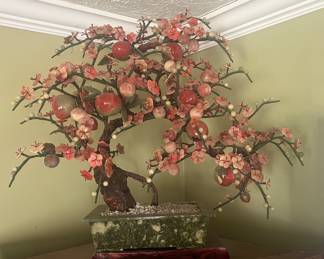 HUGE Jade Tree
24” tall X 26” wide