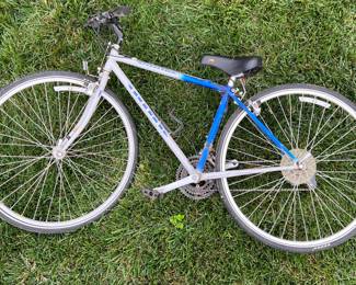 Bianchi Boardwalk Bicycle