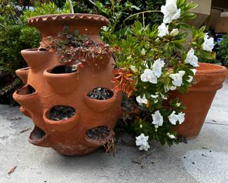 Large Strawberry Planter