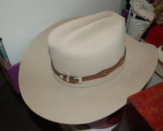 Stetson Beaver skin Hat