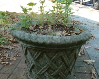 concrete planter