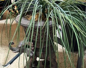 #102	Resin Elephant Vase w/Plastic Fern - 14" Tall	 $20.00 			
#103	Resin Elephant Vase w/Plastic Fern - 14" Tall	 $20.00 			
