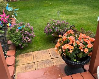 Flowers and Planters