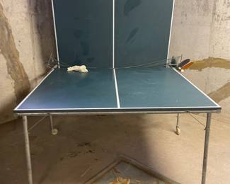 Ping Pong Table