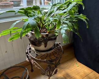 RP9 - $12. Christmas Cactus 