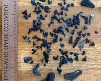 RD74 - $30. Bag of Shark Teeth