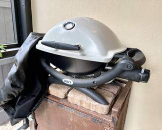 This might be the best thing ever...portable Weber propane/gas grill! Perfectly sized!