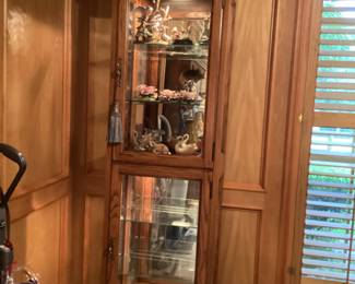 Tall curio cabinet with lights