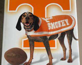 Neyland: Life of a Stadium By Parker & Hood