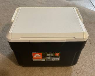 Ozark Trail 10-Qt Cooler